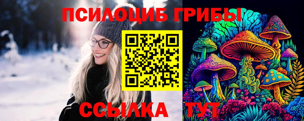 Галлюциногенные грибы Psilocybine cubensis Минеральные Воды