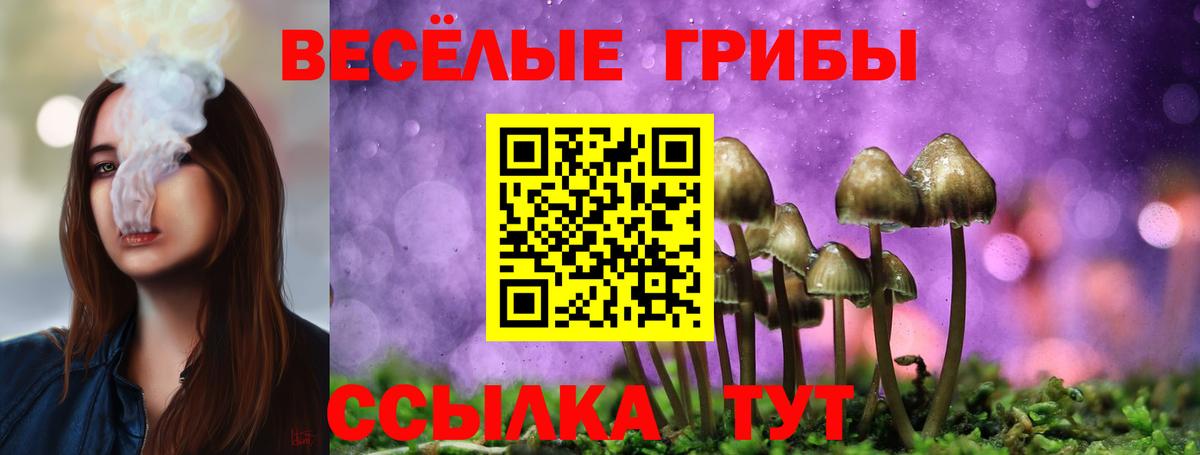 Минеральные Воды  Псилоцибиновые грибы мухоморы  даркнет сайт  Вход с VPN 